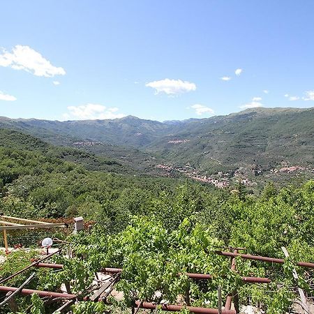 Agriturismo Nonni Devia Lucinasco المظهر الخارجي الصورة