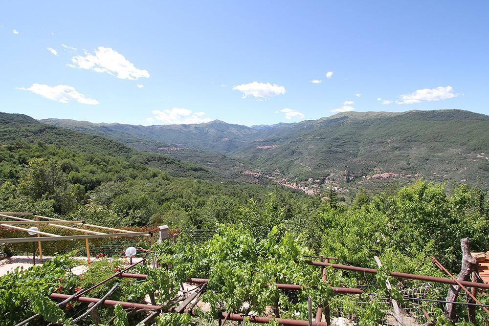 Agriturismo Nonni Devia Lucinasco المظهر الخارجي الصورة